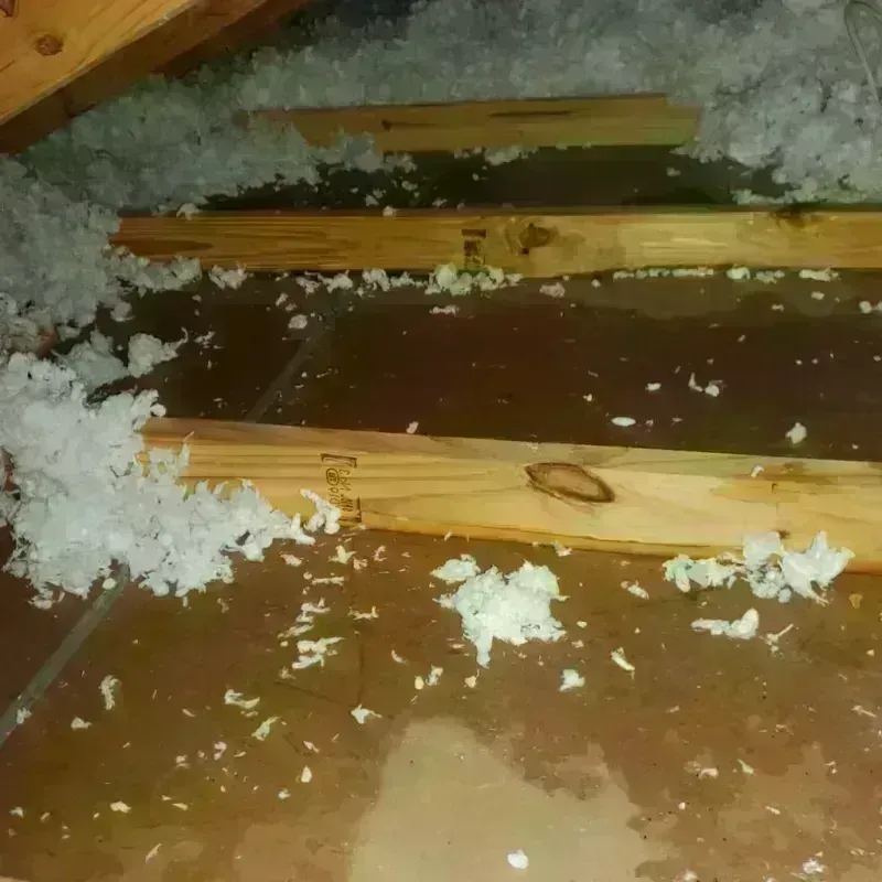 Attic Water Damage in College Station, TX